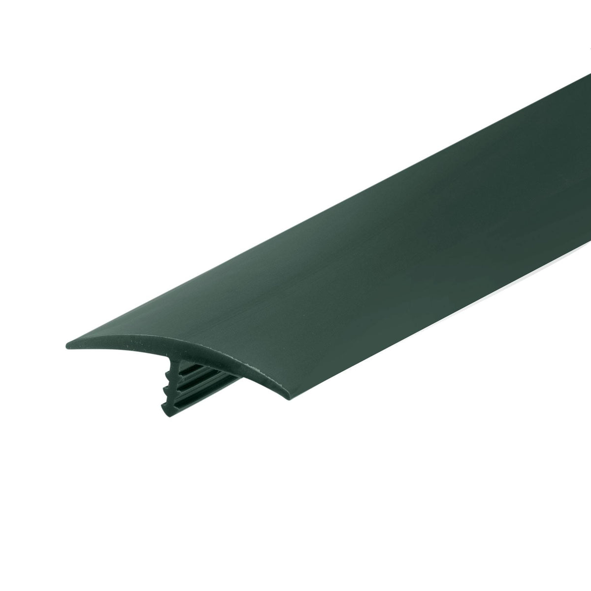 Plastic T Molding 1-1/4in D95882