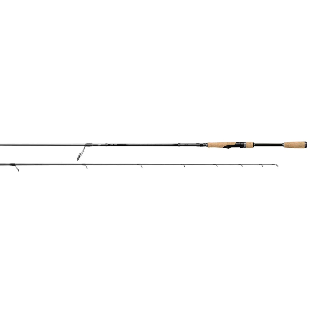 Spinning Rod B95634