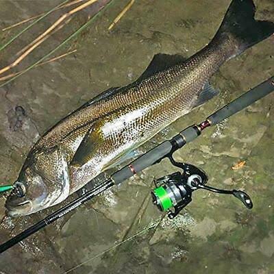 Spinning Reel E861