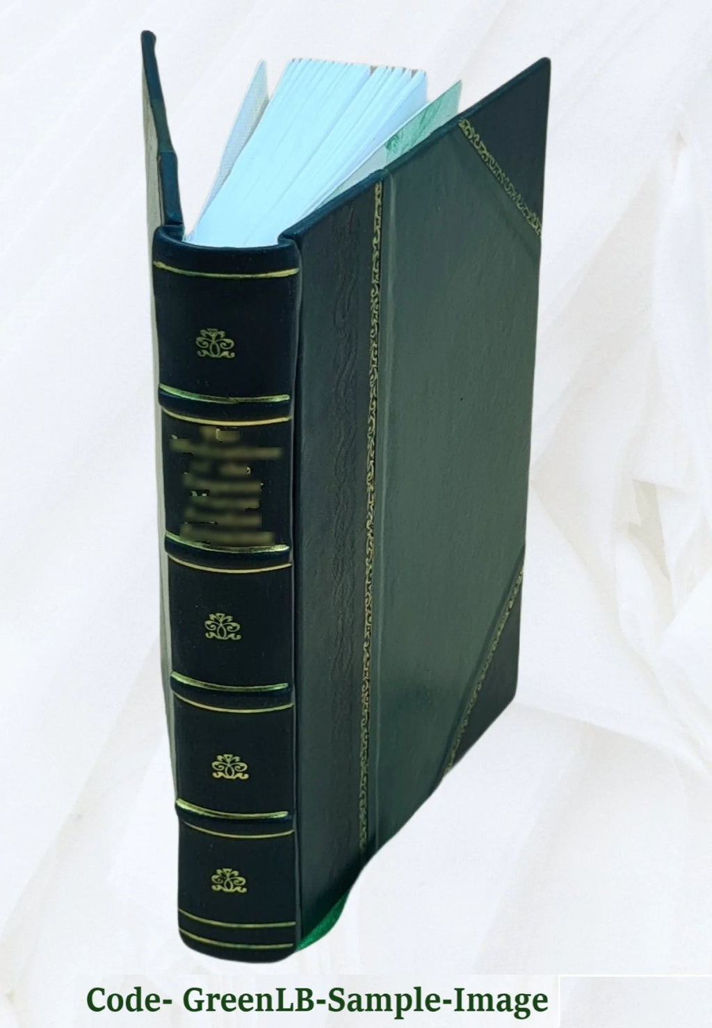 Rural Sociology Textbook Z5359