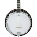5-String Banjo B287690