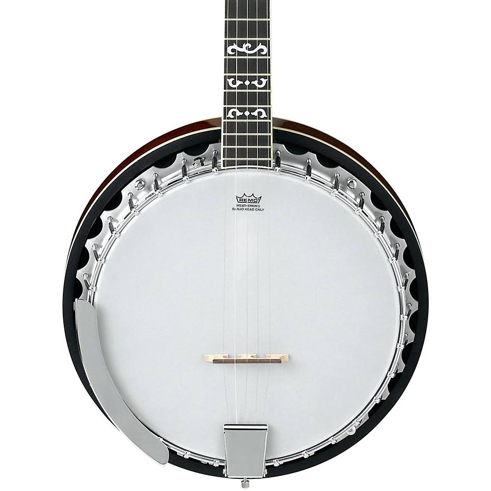 5-String Banjo B287690
