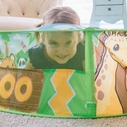 Pop up Tent with 20 Play Balls B240896