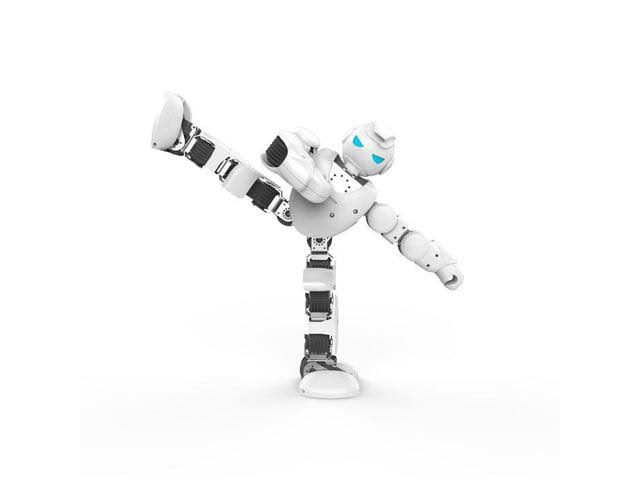 Humanoid Robot V794