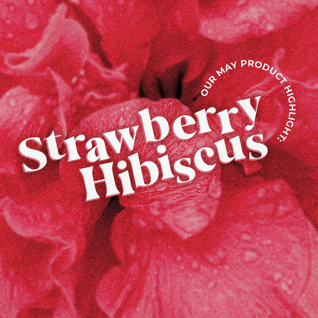 32Oz Beverage Infusions (Strawberry Hibiscus, 6 Aseptic Cartons) P642799