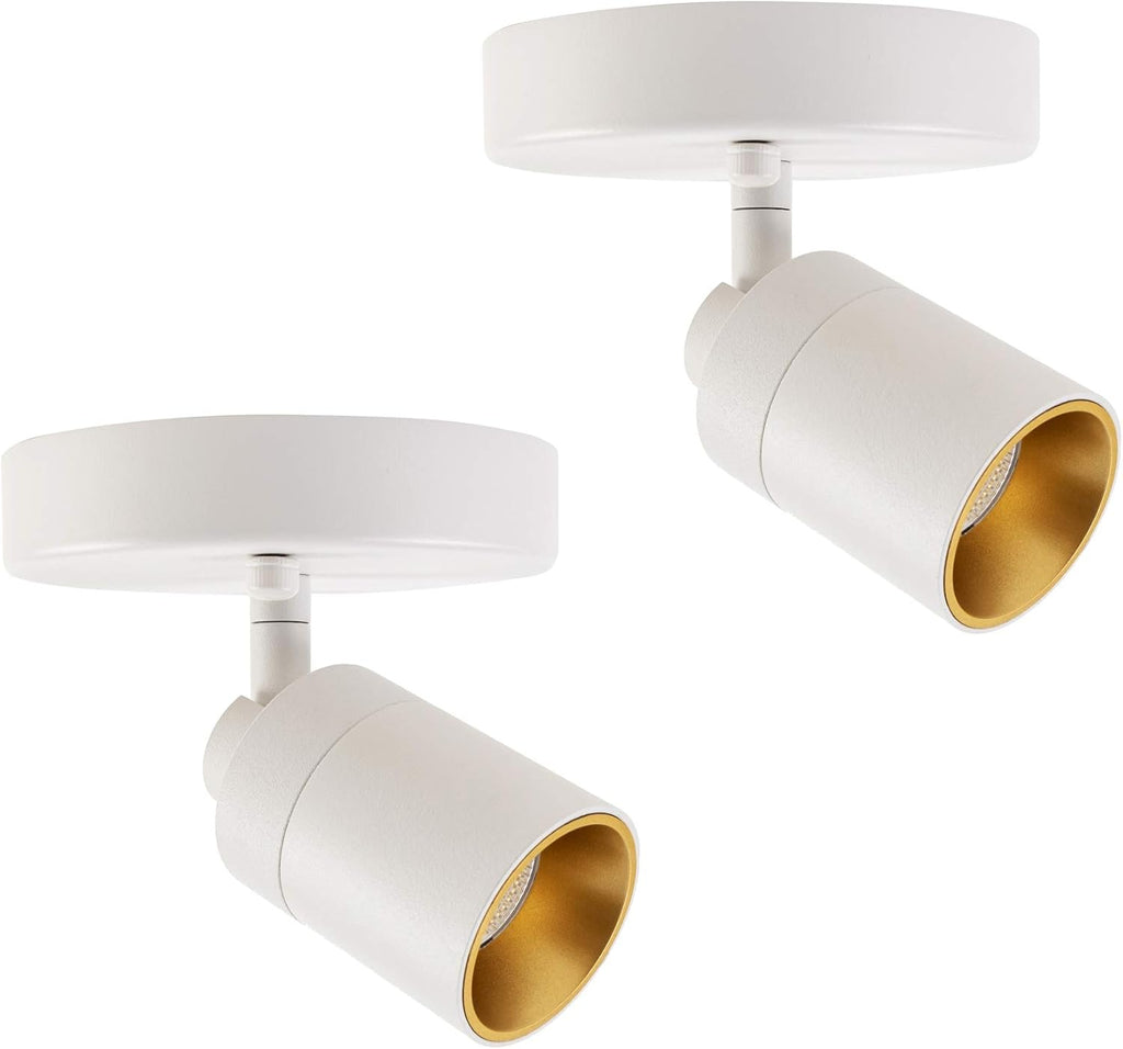 Gold 4-Pack LED Flush Mount Spot Light H77029
