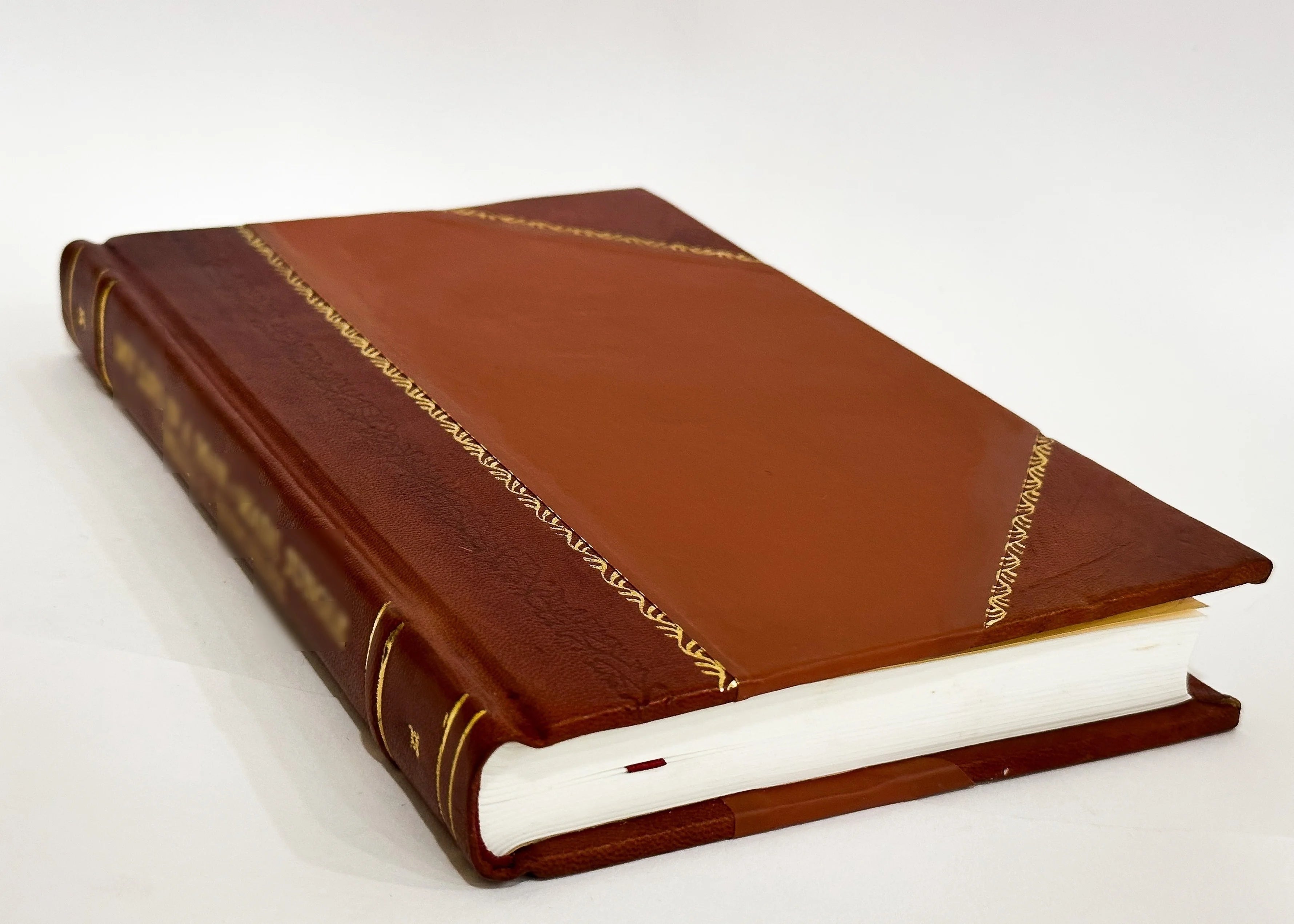 Leather Bound Book U210