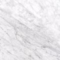 12 in. x 12 in. Polished Marble Floor and Wall Tile V853