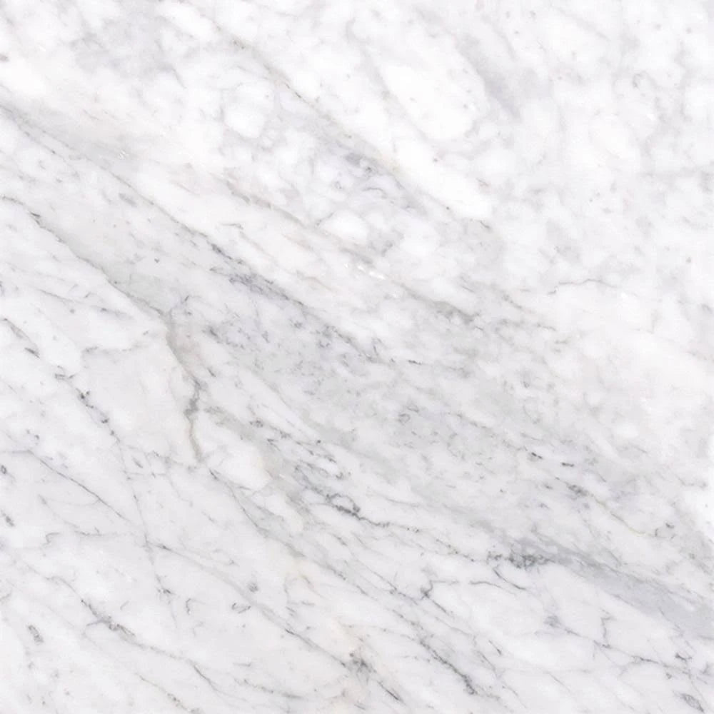 12 in. x 12 in. Polished Marble Floor and Wall Tile V853