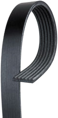 Serpentine Belt Q888656
