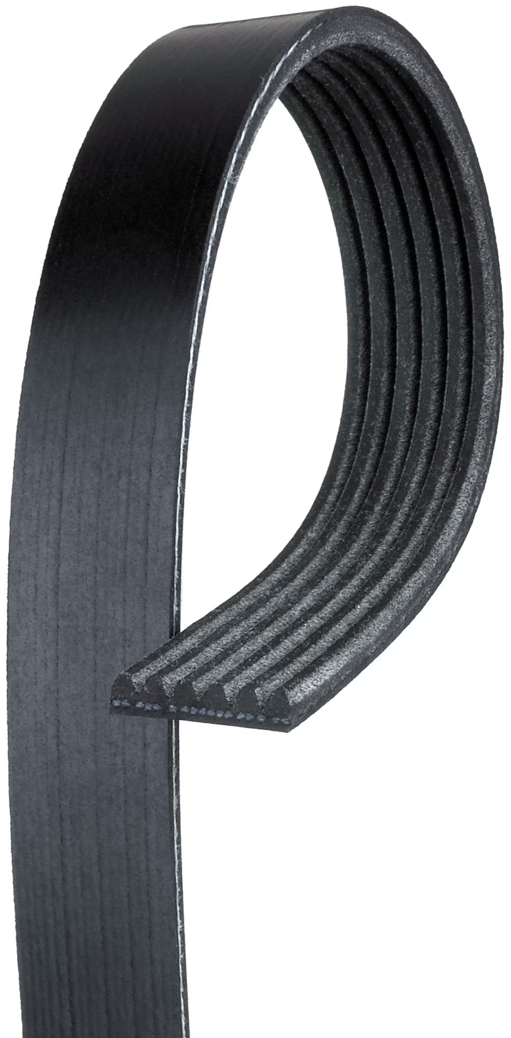 Serpentine Belt Q888656