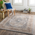 Brown Gray Area Rug S892729