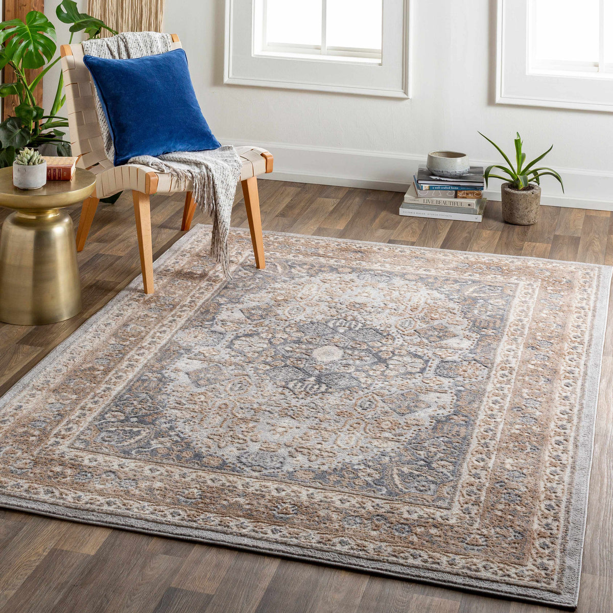 Brown Gray Area Rug S892729