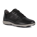 Nebula Trainers 8 J60013