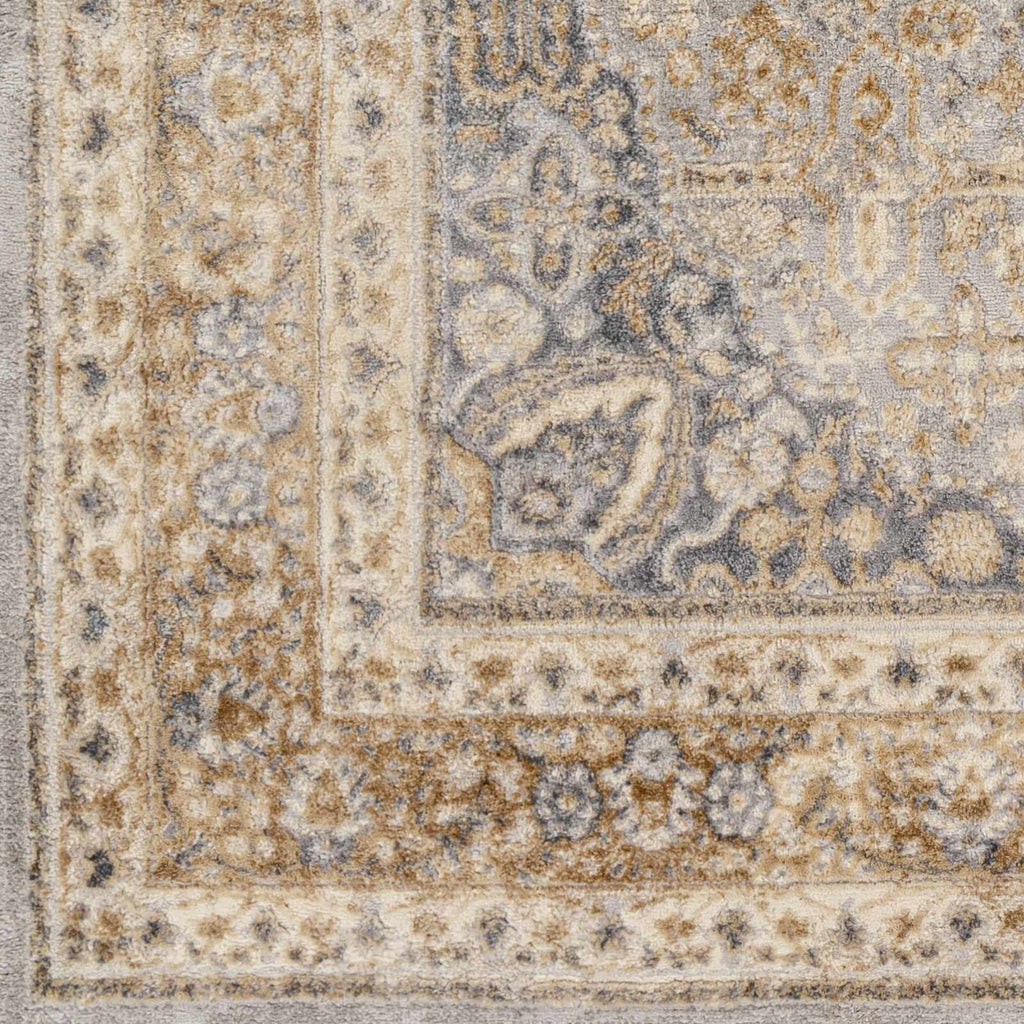 Brown Gray Area Rug S892729