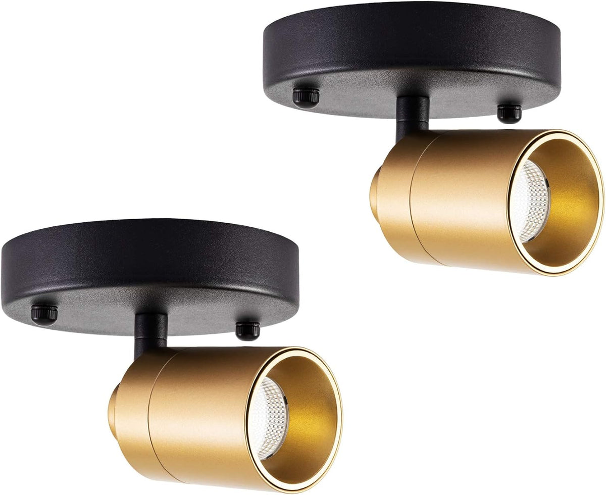 Gold 4-Pack LED Flush Mount Spot Light H77029