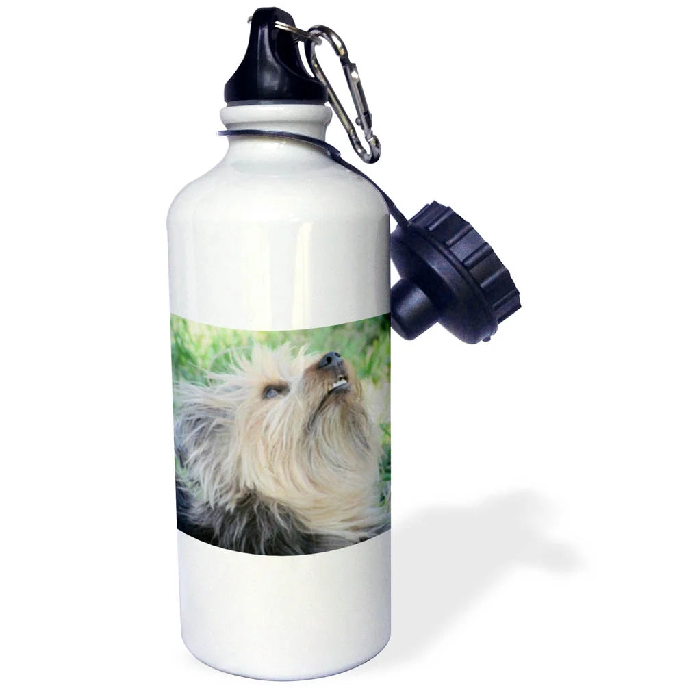 21oz Sports Water Bottle O187628