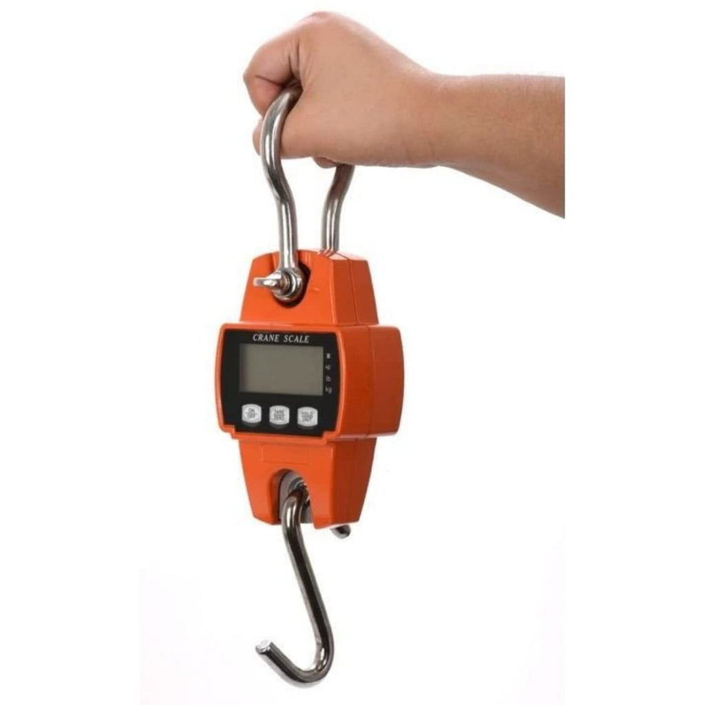 Portable Crane Scale 600 lbs X 0.2 lb K238920