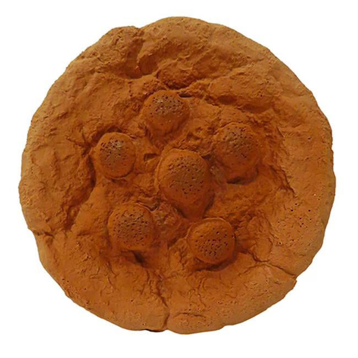 7 in. Stuffed Cookie Toys P40284