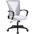 Ergonomic Mesh Office Chair with Lumbar Support W852