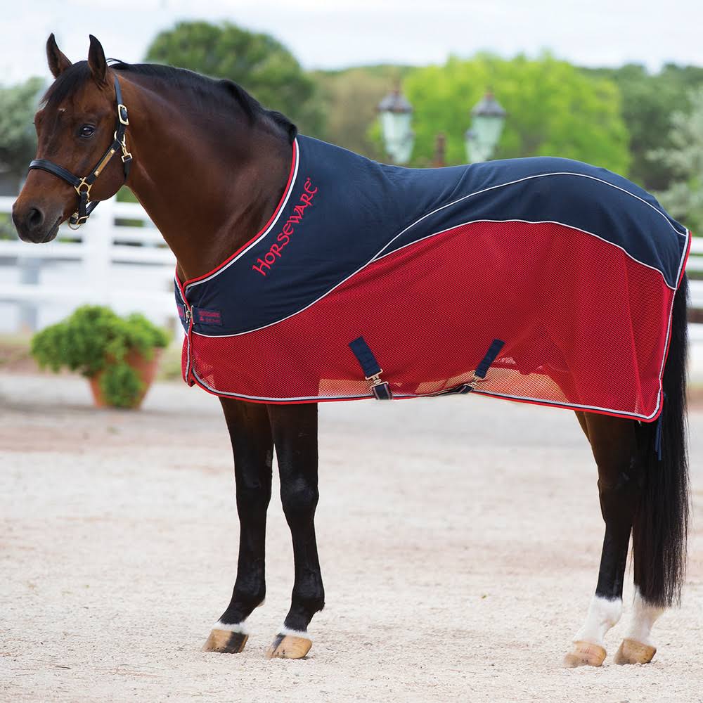 Navy/Red/Grey Sport Cooler V912237