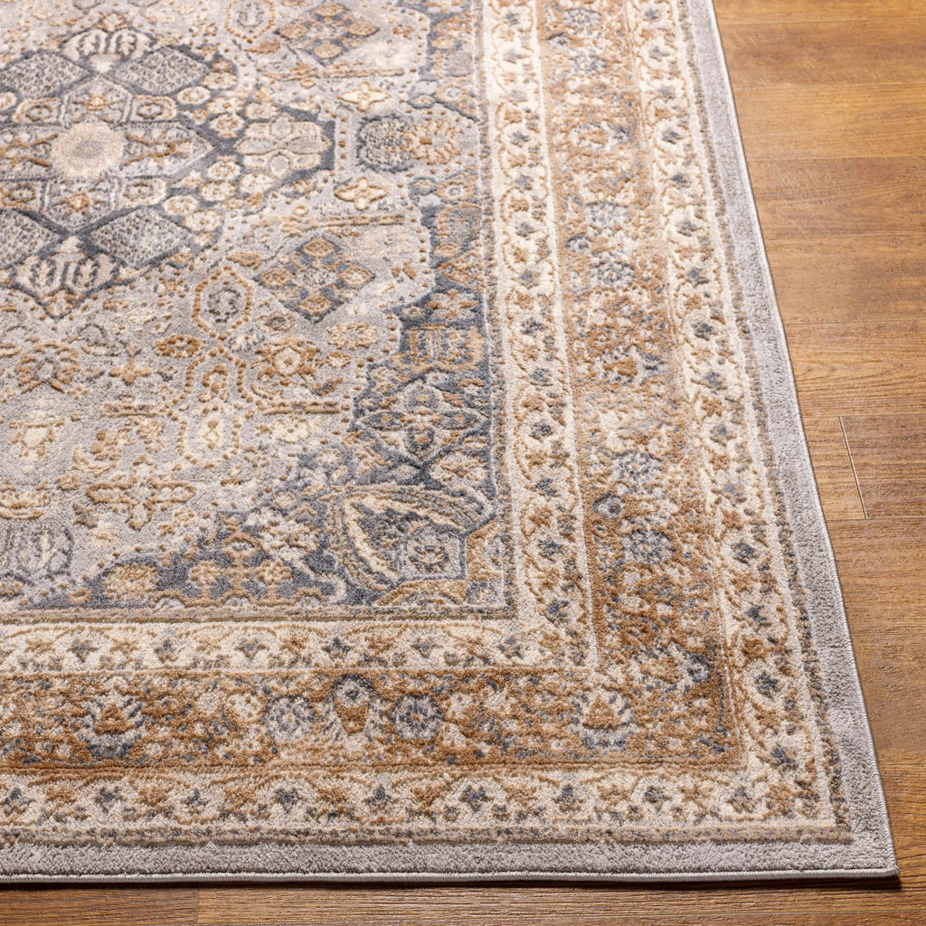Brown Gray Area Rug S892729
