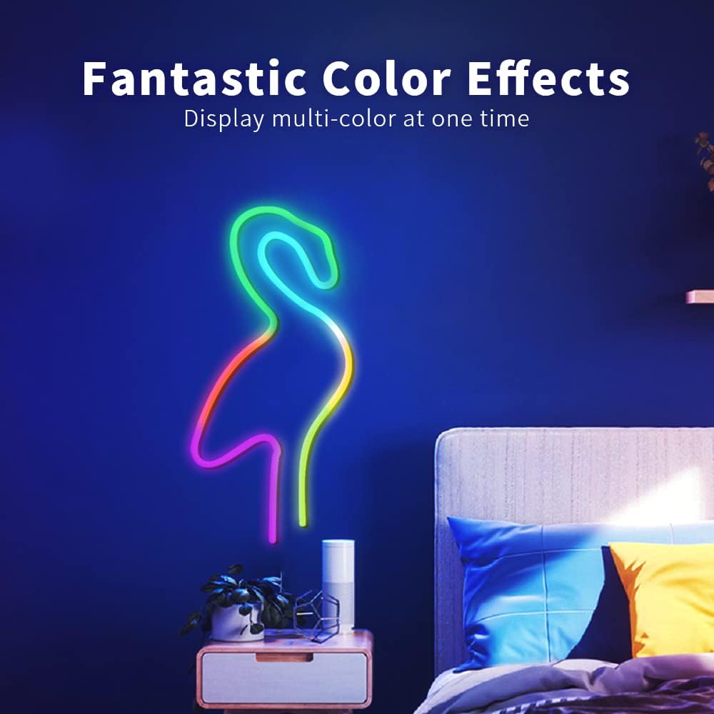 10FT LED Neon Rope Lights, 16 Million Colors, Pack of 2 O312