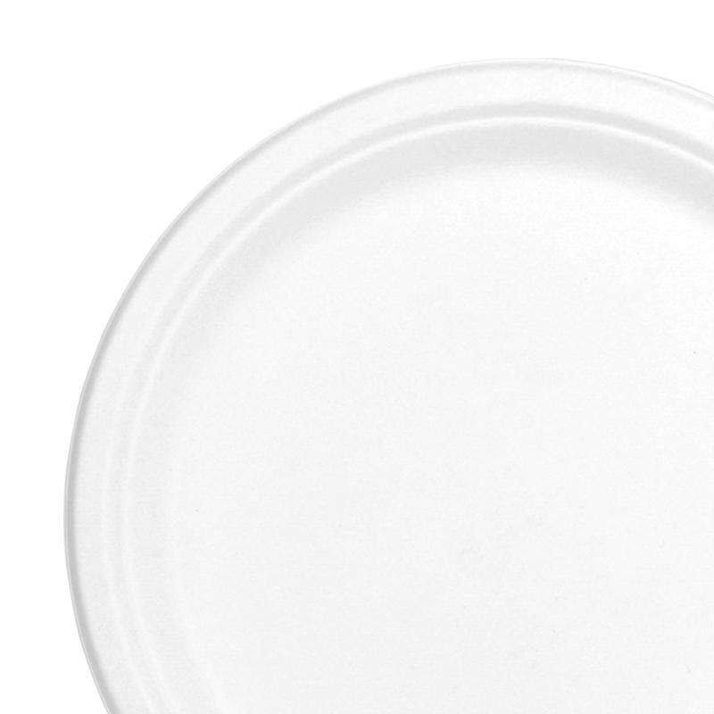 9 White Bagasse Buffet Plates S670