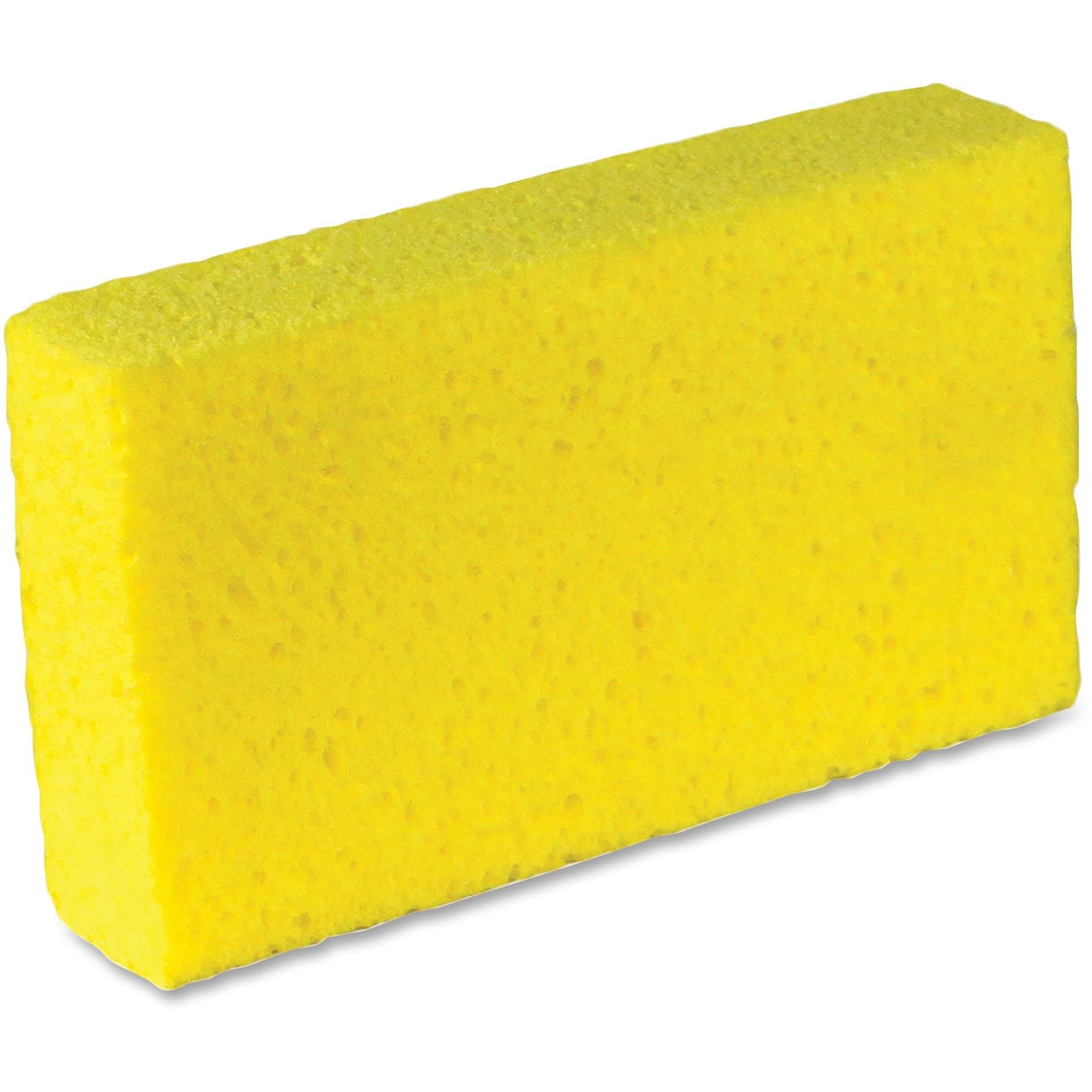 Large Cellulose Sponges A948
