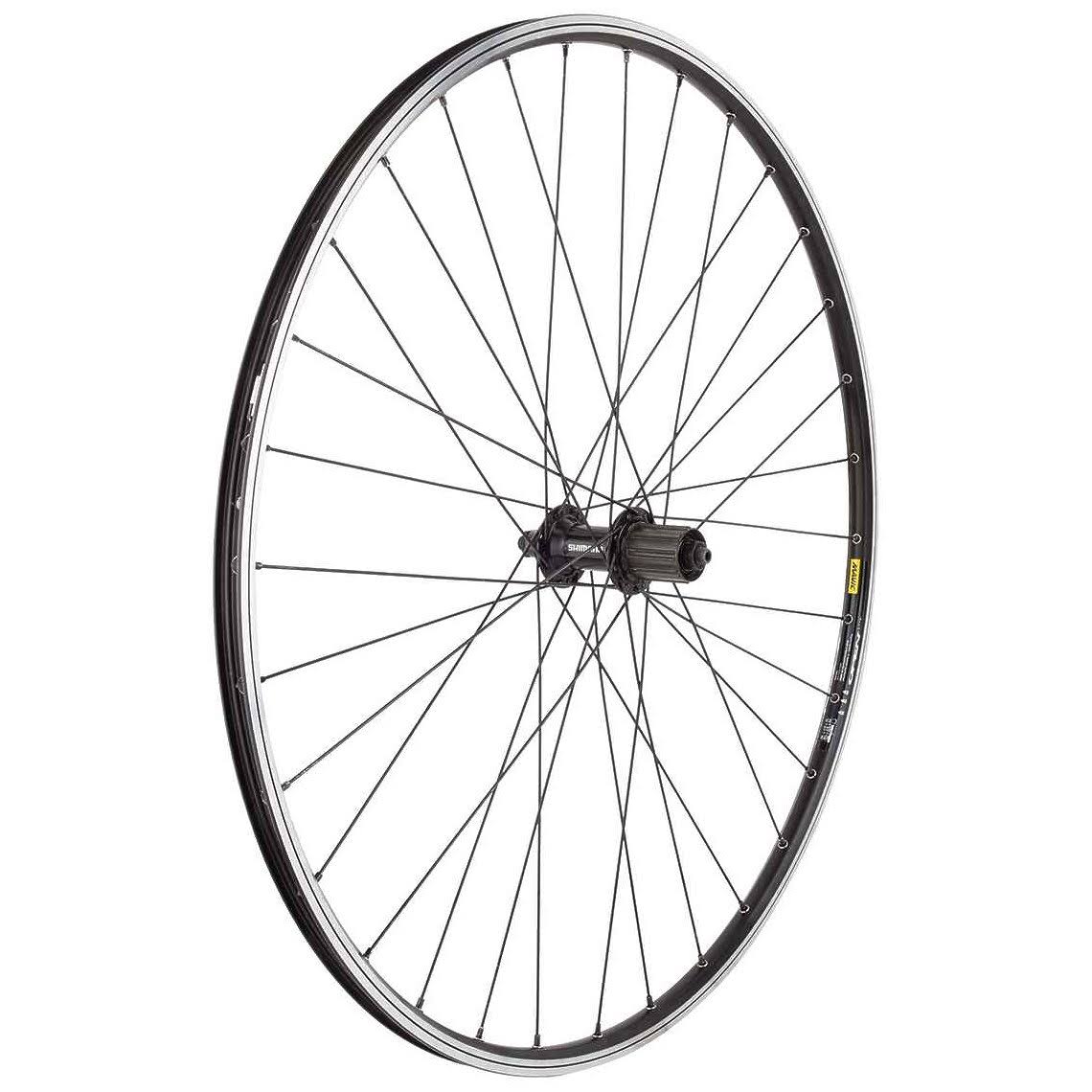 Wheel Rear 700 622x15 Open Elite Black 32 RS400 8-11s CASS Black 130mm Y871387