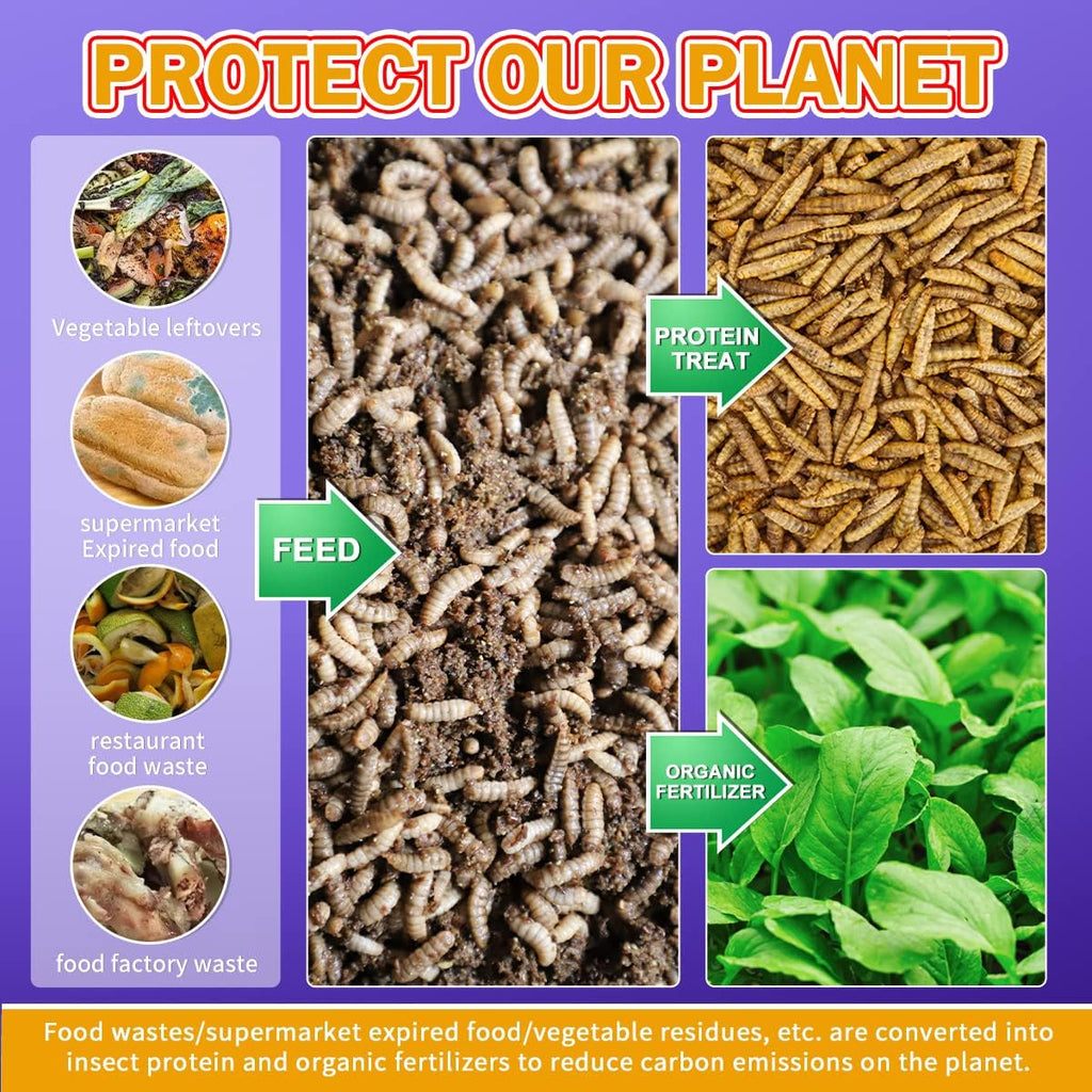 30lbs Bulk Dried Black Soldier Fly Larvae for Chickens T9742