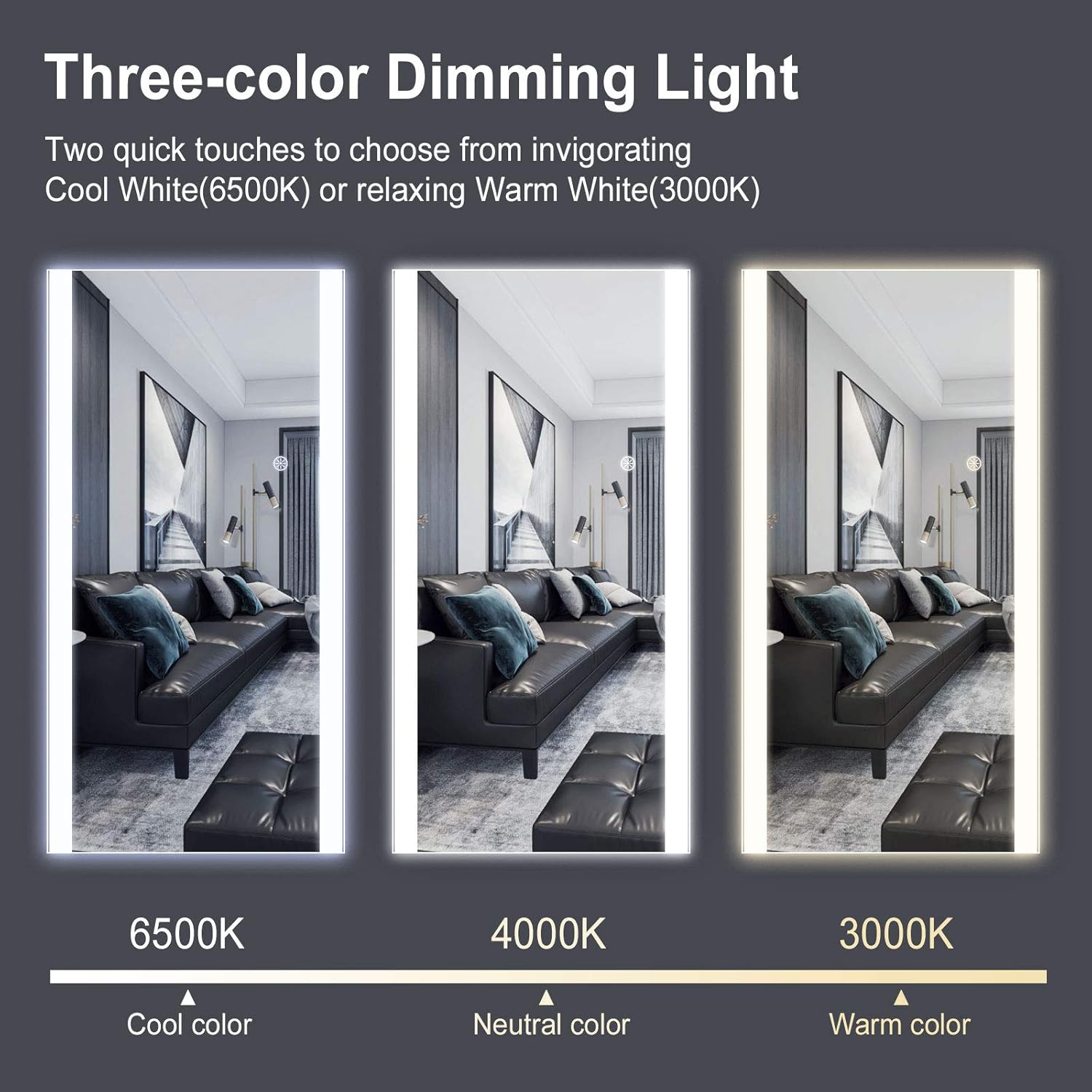 47x22 Full Length LED Wall Mounted Mirror F427836